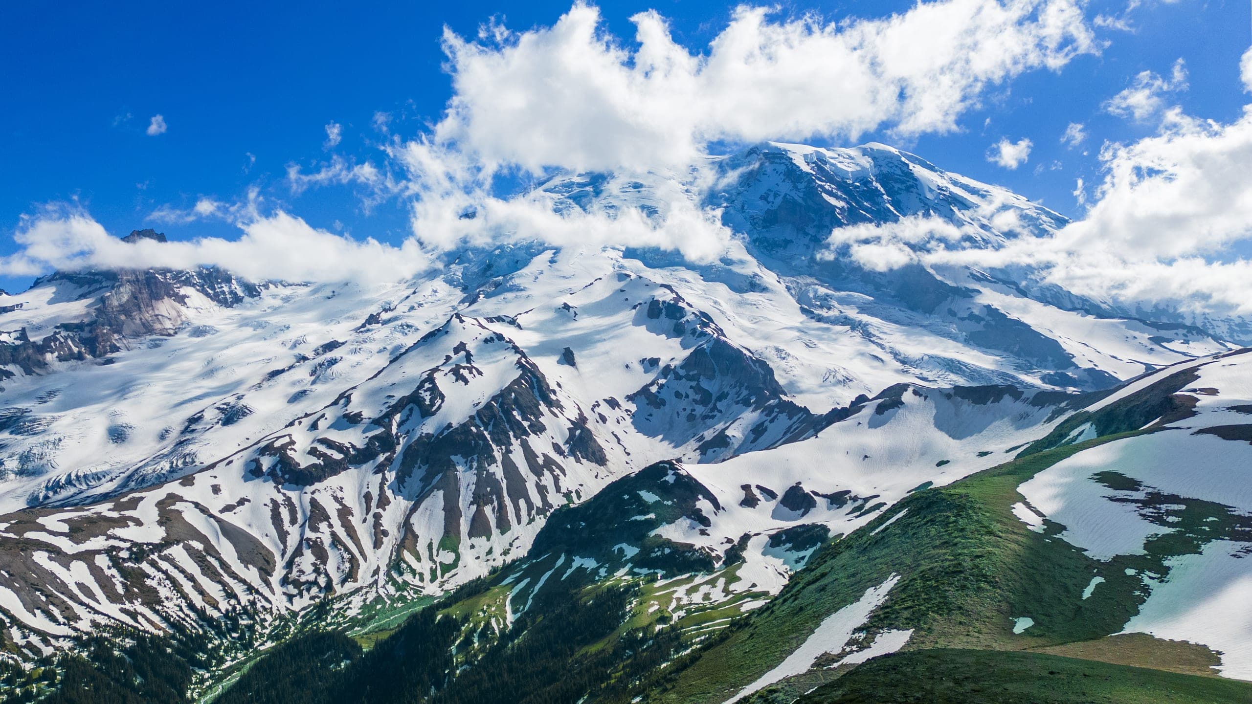 Nature photography by Seidel Creative Media